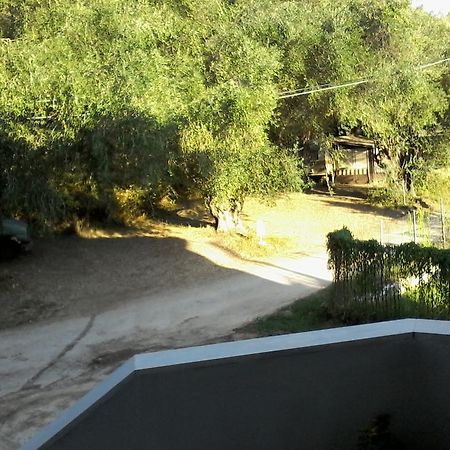 Afroditi Studios Sivota  Exterior photo